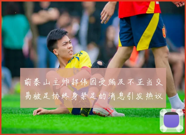 前泰山主帅郝伟因受贿及不正当交易被足协终身禁足的消息引发热议