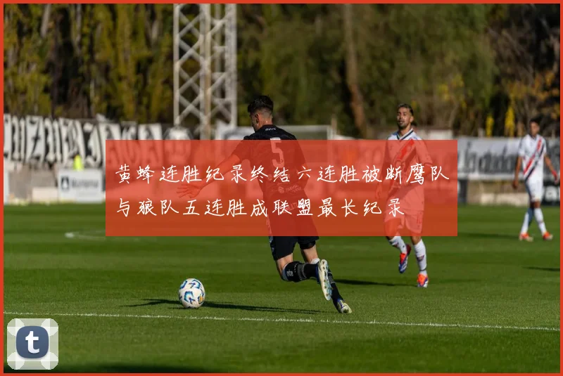 黄蜂连胜纪录终结六连胜被断鹰队与狼队五连胜成联盟最长纪录
