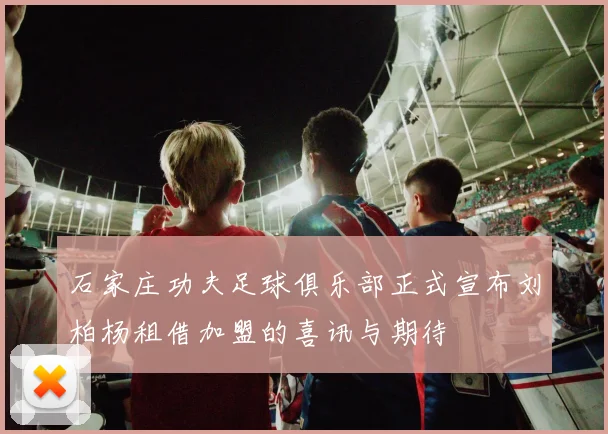石家庄功夫足球俱乐部正式宣布刘柏杨租借加盟的喜讯与期待