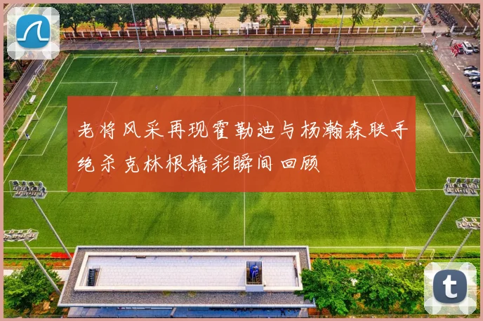 老将风采再现霍勒迪与杨瀚森联手绝杀克林根精彩瞬间回顾