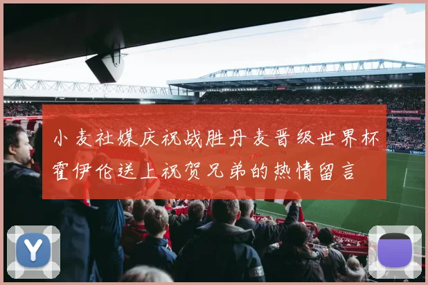 小麦社媒庆祝战胜丹麦晋级世界杯霍伊伦送上祝贺兄弟的热情留言