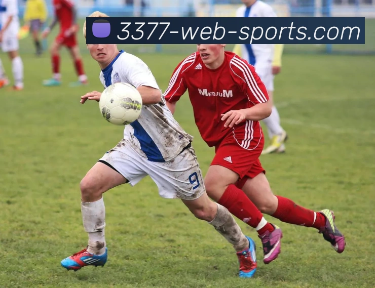 App Interface Preview