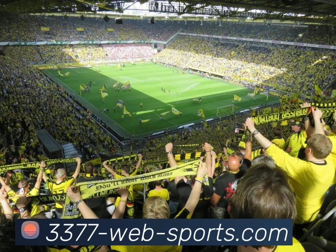 3377体育APP 封面图